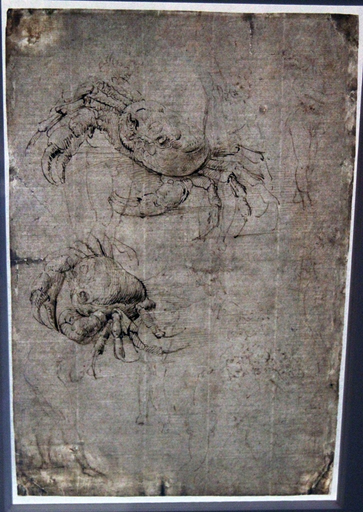 Two Studies of a Crab